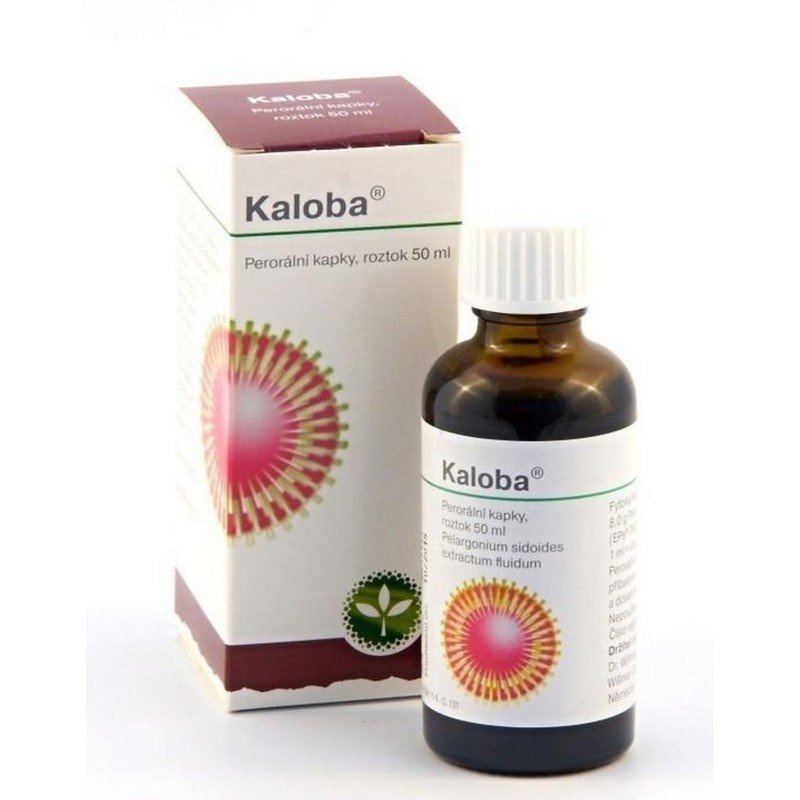 Kaloba 50 ml herbal oral drops – natural Pelargonium remedy for cough and bronchitis