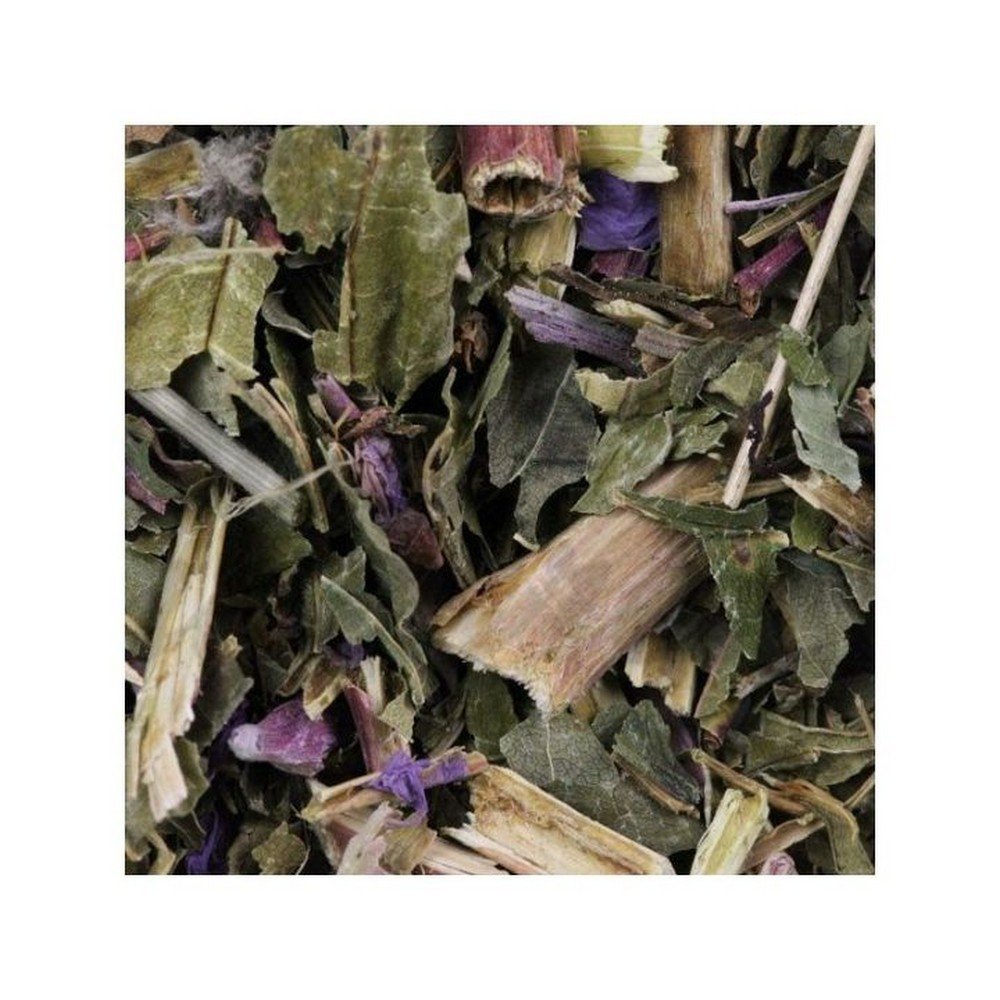 Fireweed plant with small flowers cut IPHYM Herb Epilobium parviflorum,Plante d'épilobe à petites fleurs coupées IPHYM Herbe Epilobium parviflorum