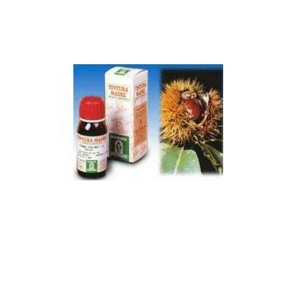 Specchiasol Agnocasto 53 Mother Tincture 50 ml,Specchiasol Agnocasto 53 Tintura Madre 50 ml,SPECCHIASOL Srl